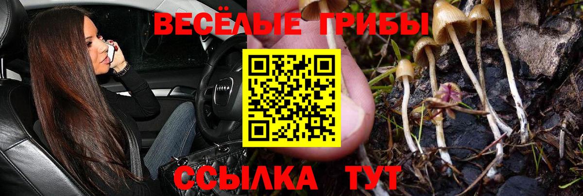 Галлюциногенные грибы Cubensis  Вход с VPN  Галлюциногенные грибы ЛСД  Малгобек 