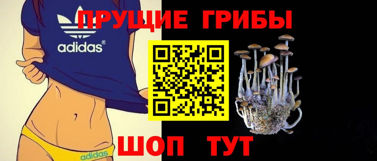 Псилоцибиновые грибы Cubensis Малгобек